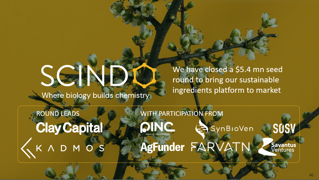 Scindo funding announcement