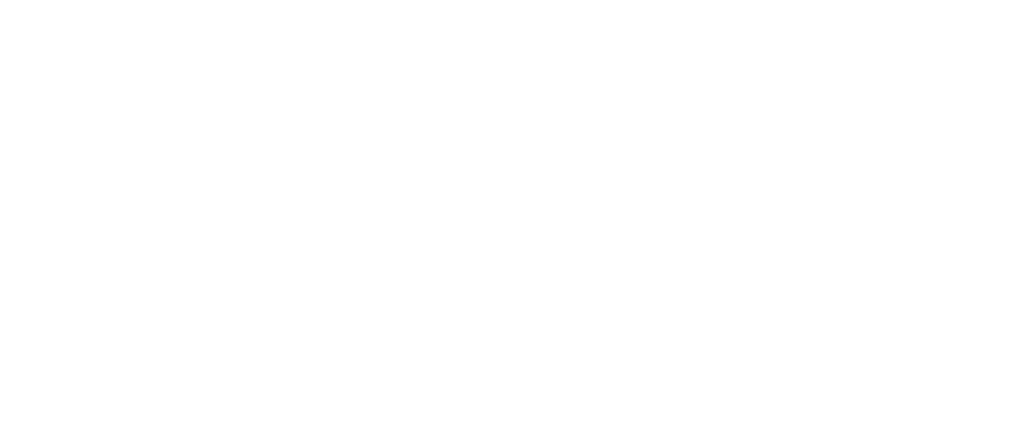 Savantus Ventures